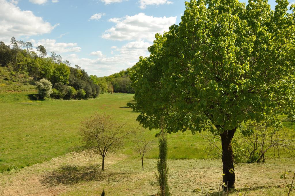 Gite Chez Le Gaulois Carsac-Aillac Kültér fotó