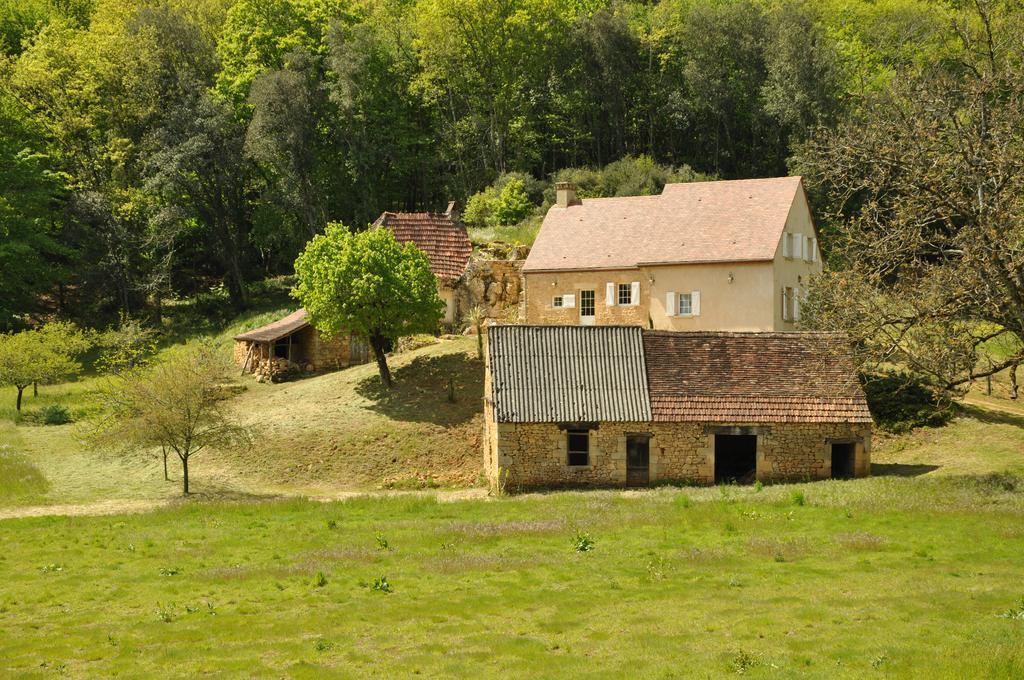 Gite Chez Le Gaulois Carsac-Aillac Kültér fotó